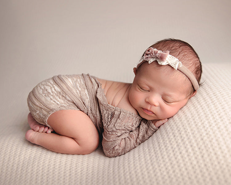 Dog bed newborn store photography